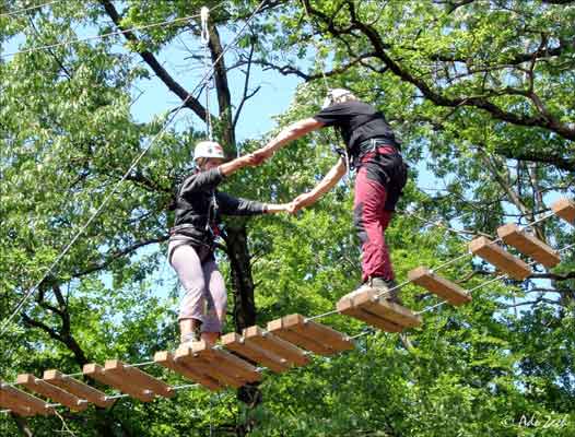 Teamarbeit auf der Dschungelbrücke