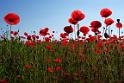 0607K5P 0036 AW GH TL TW NW5 Sky2 AS2